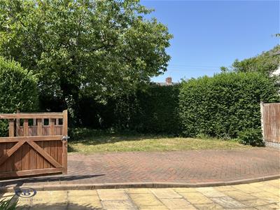 Picture 19